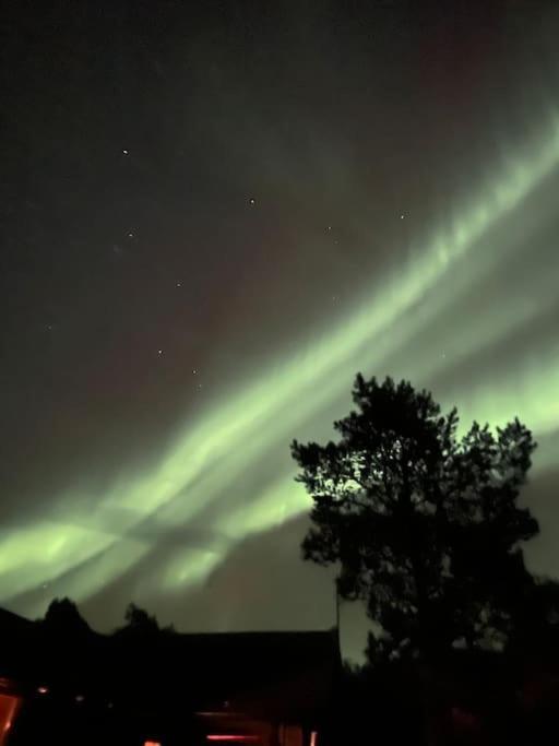 Appartamento Aurora Borealis *