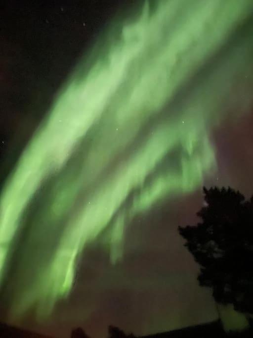 Aurora Borealis Appartamento *